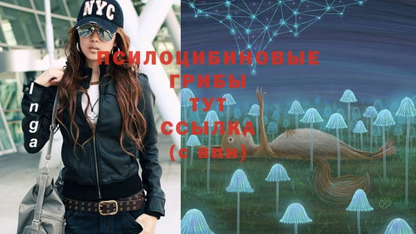 мескалин Дмитров